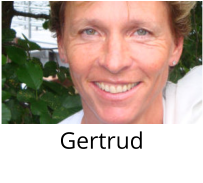 Gertrud